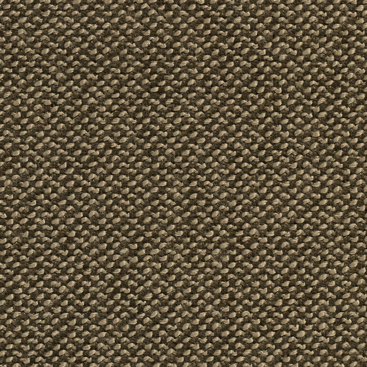 Camp Olive