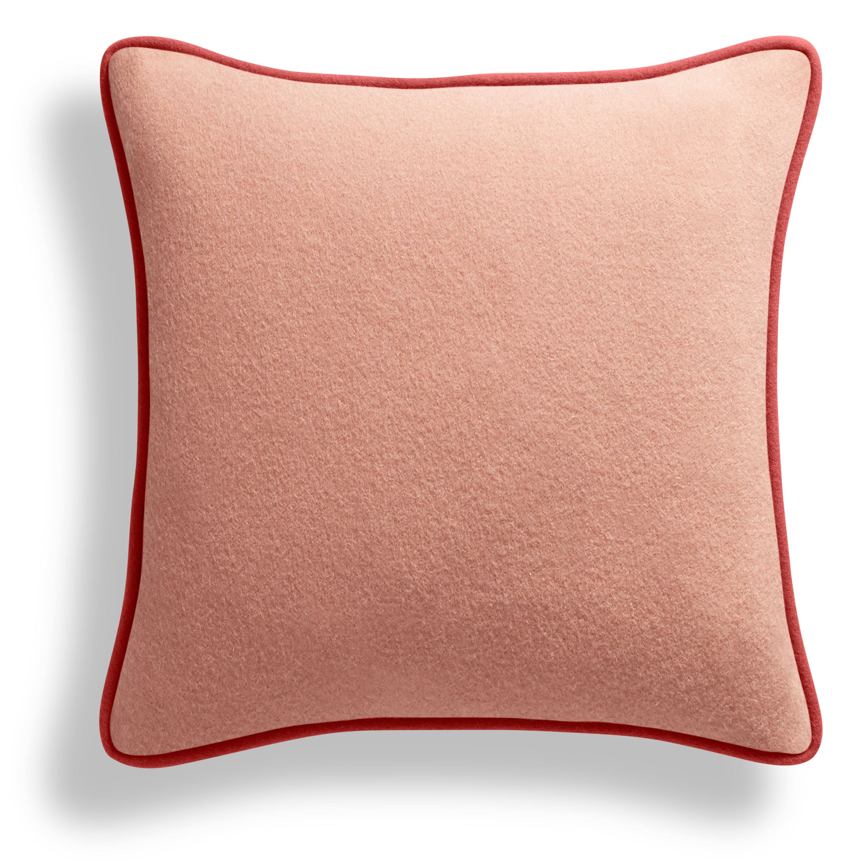 Duck Duck 20" Square Pillow