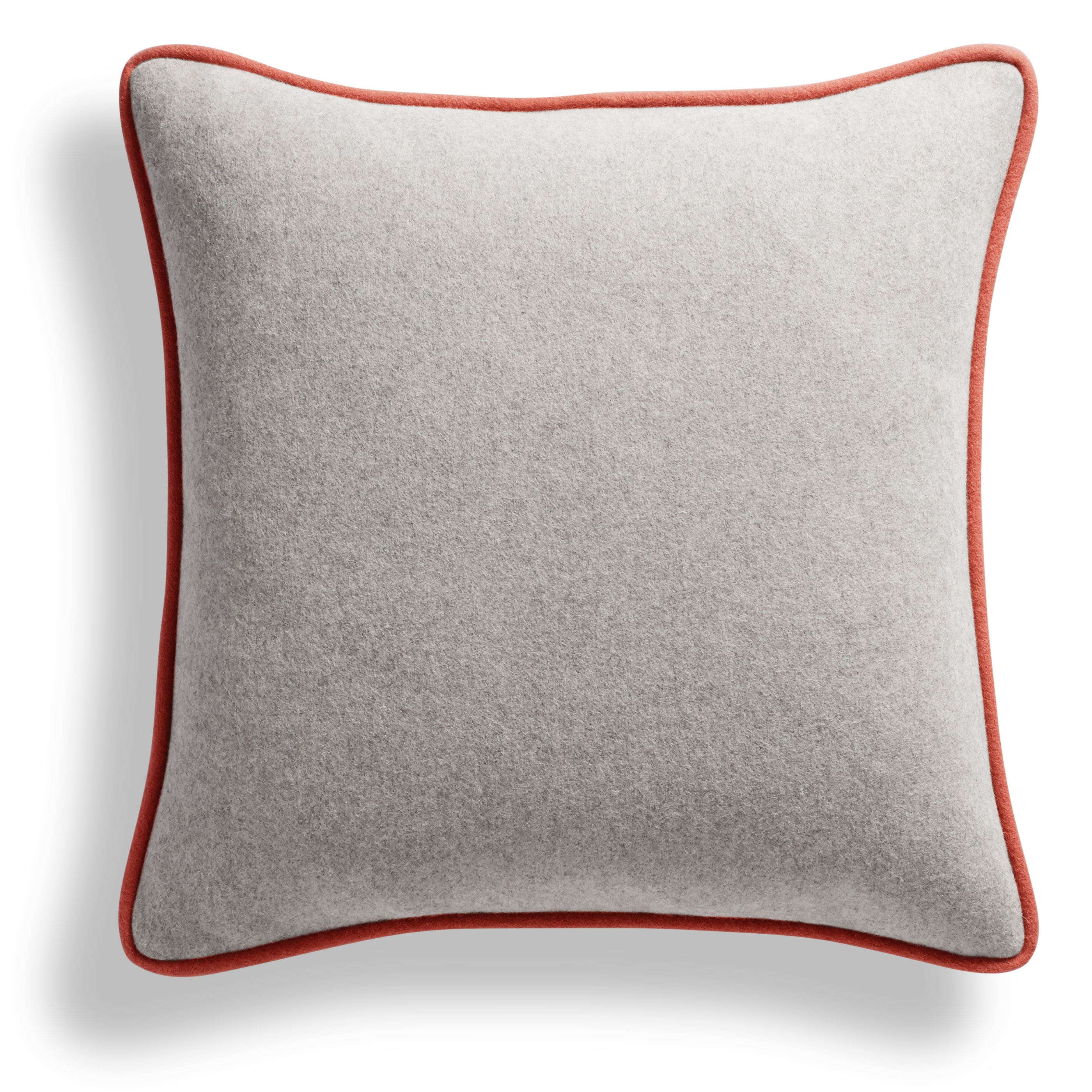 Duck Duck 20" Square Pillow