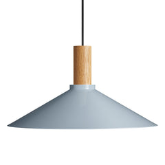 Emblem Large Pendant Light