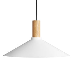 Emblem Large Pendant Light
