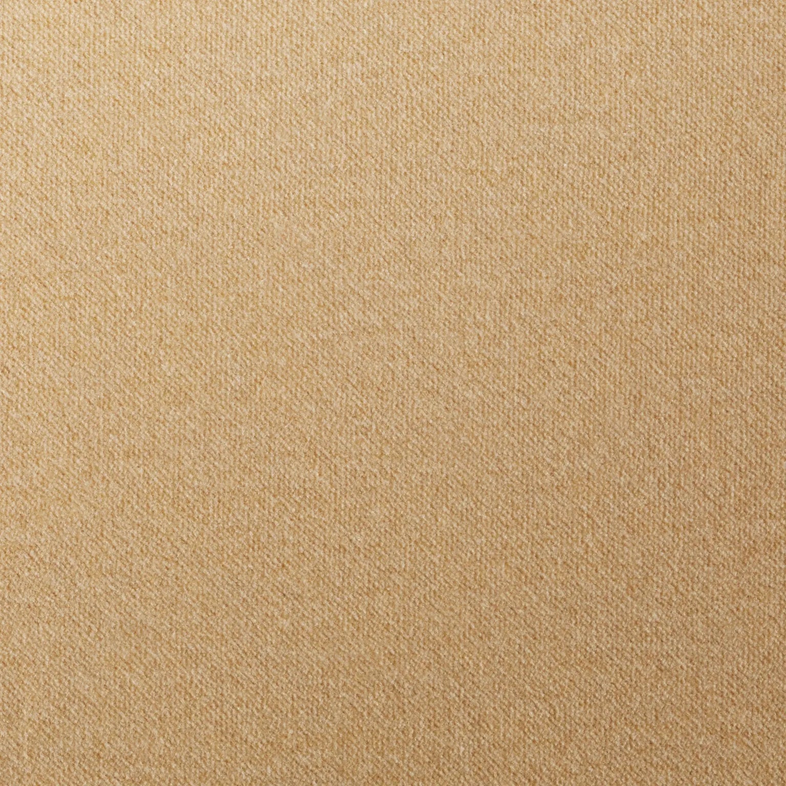 Camel Velvet