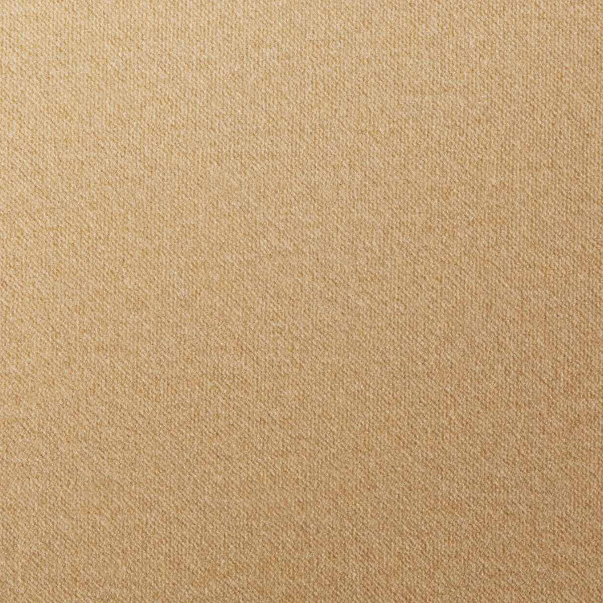 Camel Velvet