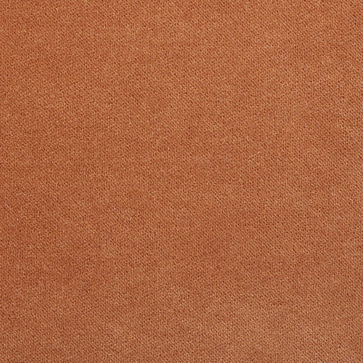 Copper Velvet