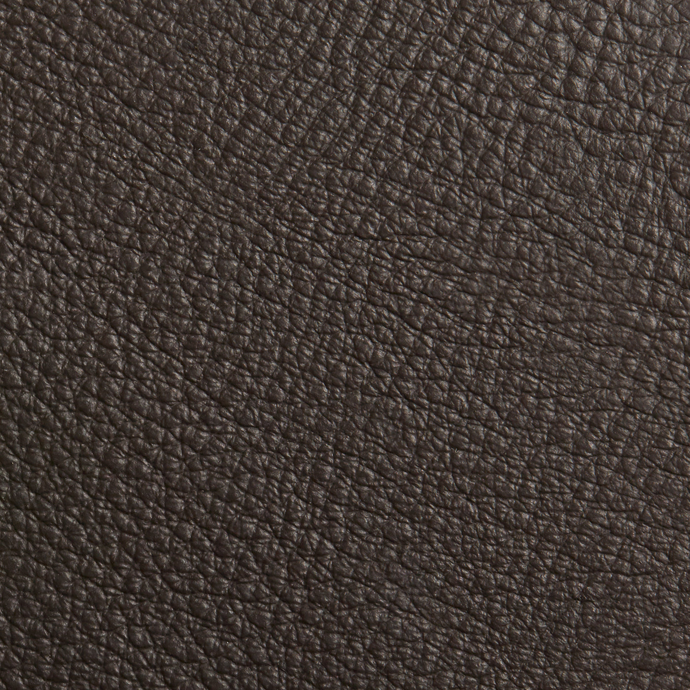 Dark Brown Leather