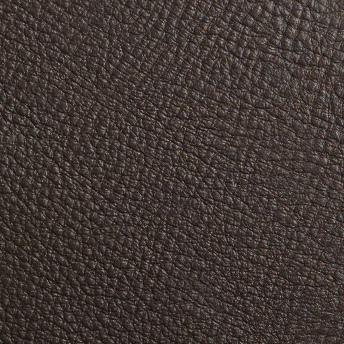 Dark Brown Leather