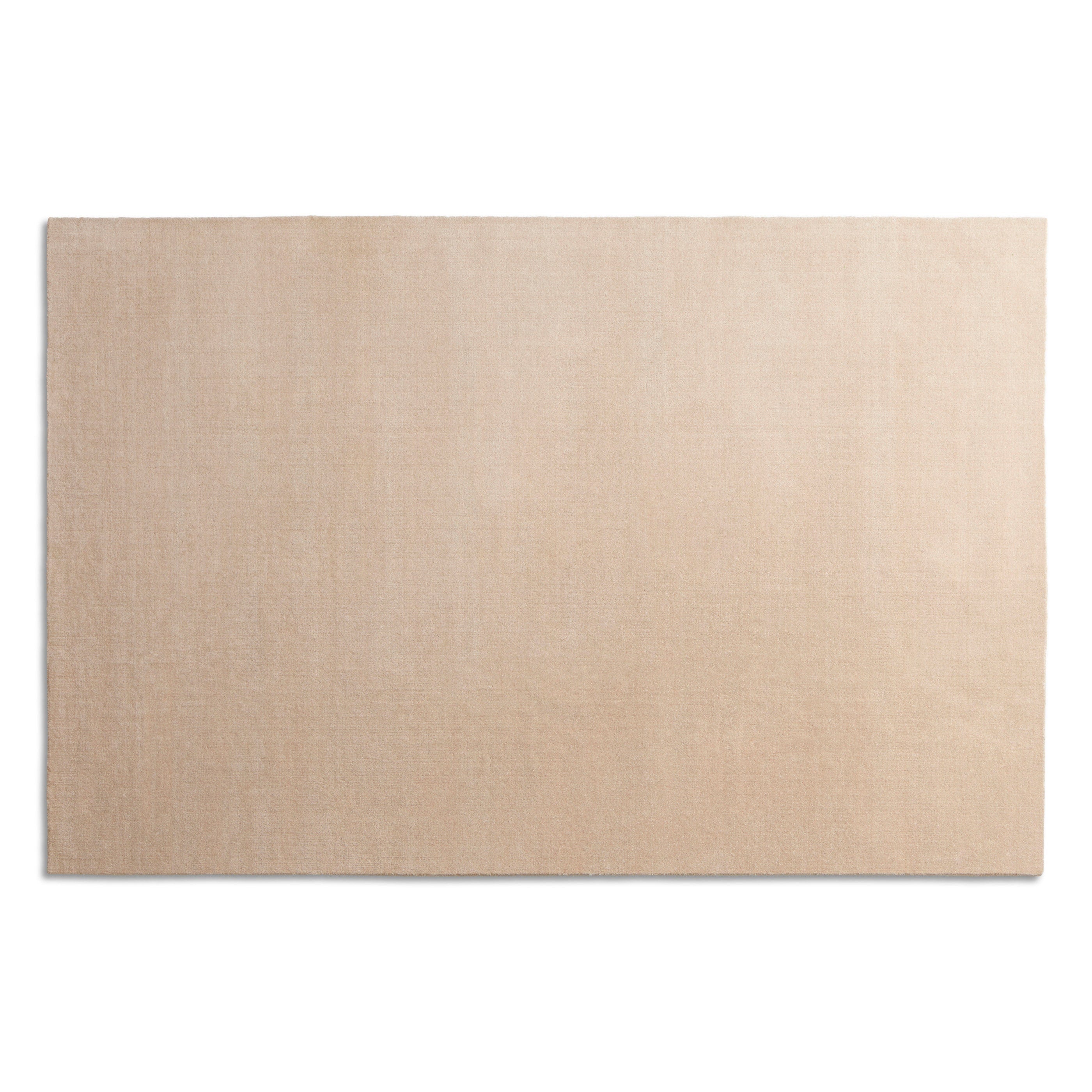 Filtered Out Rug