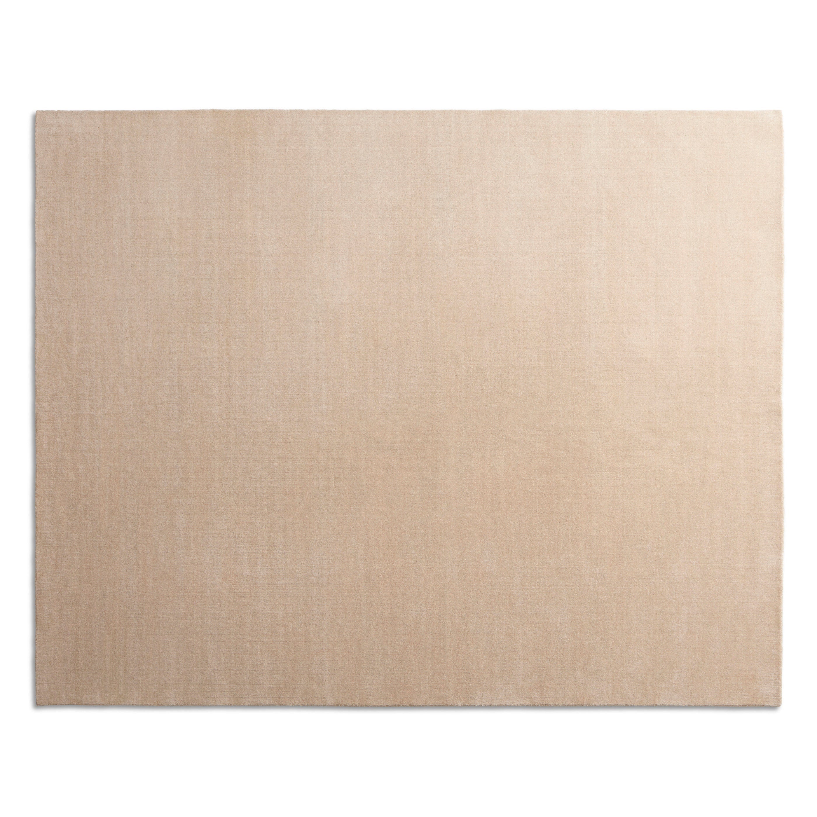 Filtered Out Rug